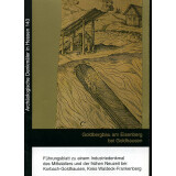Goldbergbau am Eisenberg bei Goldhausen