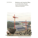 Keltische und römische Eliten im zürcherischen...